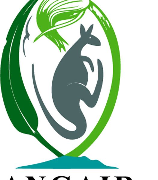 Angair logo