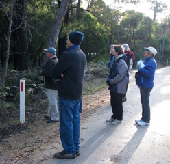 Start of the walk along the road