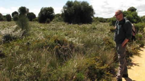No Emu-wrens but lovely heath