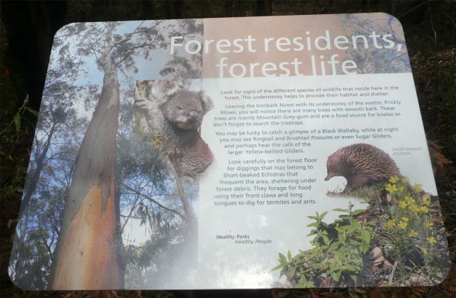 Forest residents, forest life sign