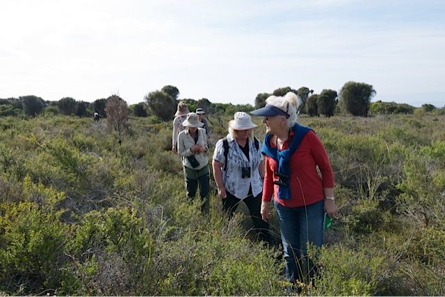 Group in heathland