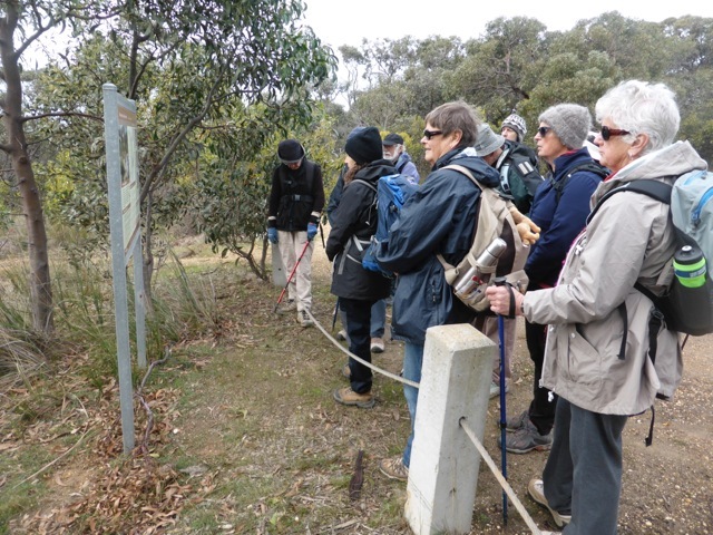 At Mt Ingoldsby, reading about the Anglesea Heath