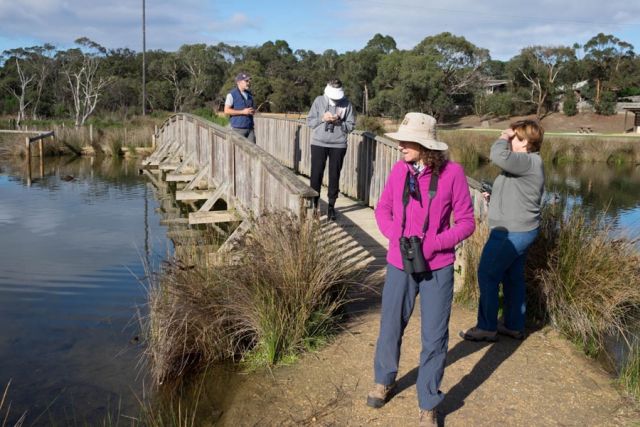 Our small group at Coogoorah Park, Anglesea