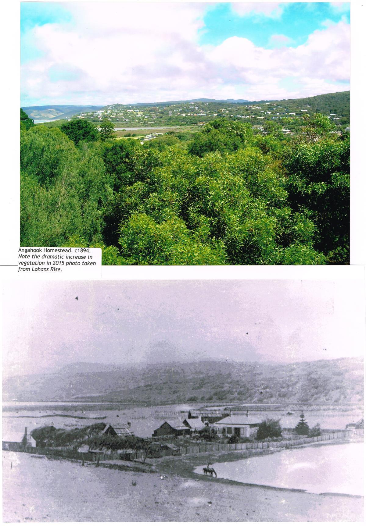 View from Lighthouse - 1910 and now